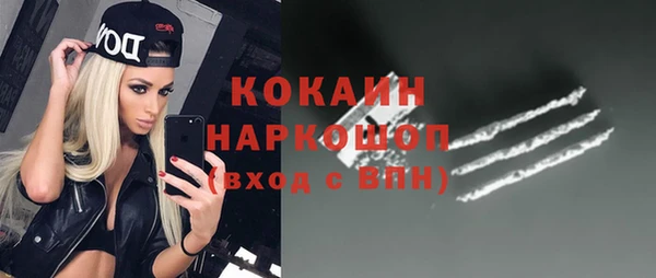 стаф Алексин