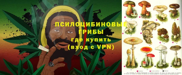 СК Покровск