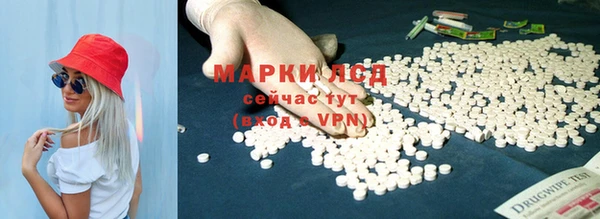 стаф Алексин