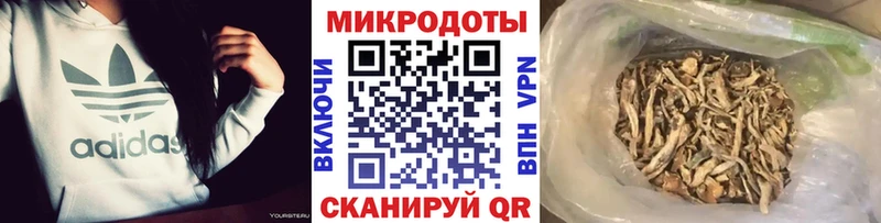 Галлюциногенные грибы Magic Shrooms  наркота  ссылка на мегу сайт  Дмитриев 