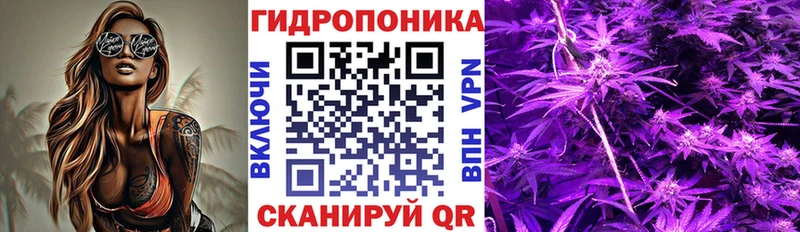 МАРИХУАНА конопля  Дмитриев 
